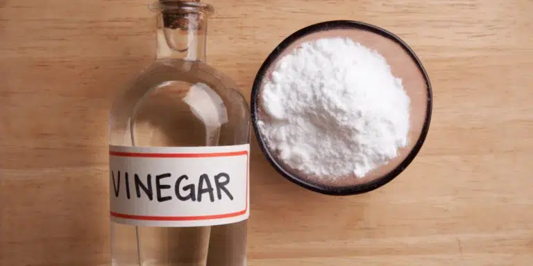 Vinagre: Bom, Barato e Eficiente. O Aliado Poderoso na Limpeza e no Dia a Dia