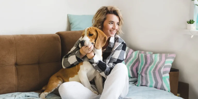 Top 5 Produtos para Evitar Xixi de Cachorro no Sofá
